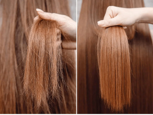 Top 10 Tips for Dry Hair - Shelley and Co
