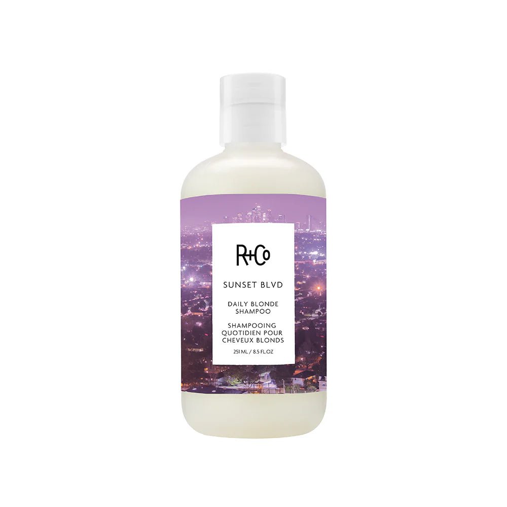 R+Co SUNSET BLVD Daily Blonde Shampoo 251ml - shelley and co