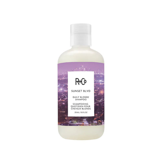 R+Co SUNSET BLVD Daily Blonde Shampoo 251ml - shelley and co