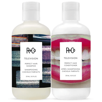 R+Co TELEVISION Perfect Hair Duo Bundle - shelley and co
