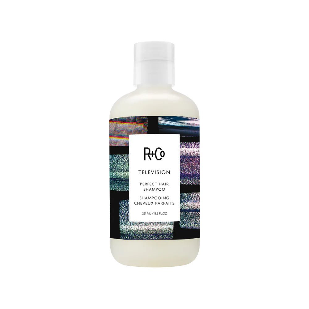 R+Co TELEVISION Perfect Hair Shampoo 251ml - shelley and co