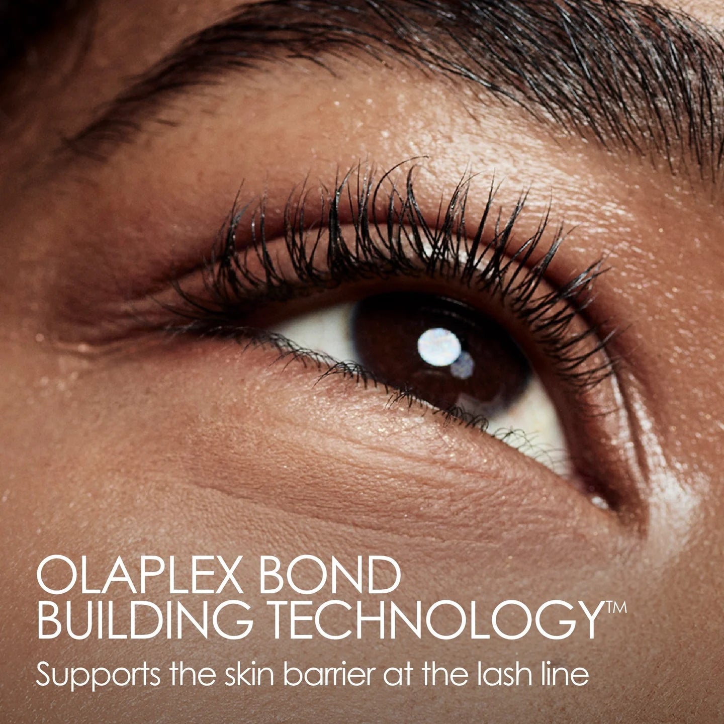 Olaplex Lashbond Building Serum - shelley and co