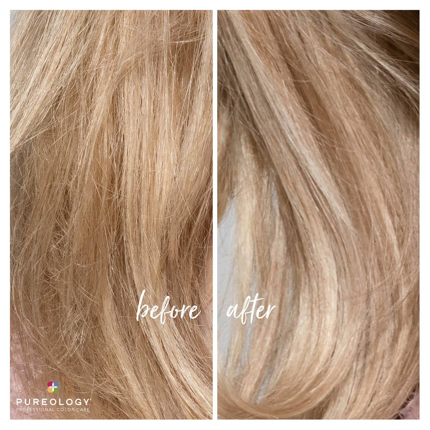 Pureology Strength Cure Blonde Conditioner 266ml - shelley and co
