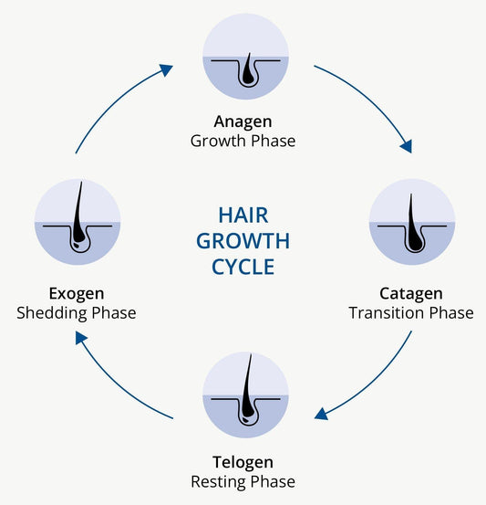 Hair Fall vs Hair Loss: What’s the Difference? - Shelley and Co