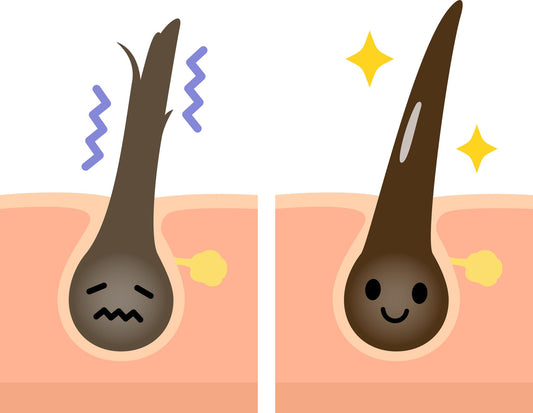 How to Grow Hair Faster &amp; Thicker: What Actually Works (And What Doesn’t) - Shelley and Co