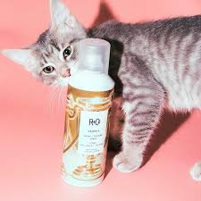 The Ultimate Guide to R+Co Styling Sprays: From Texture to Hold - shelley and co