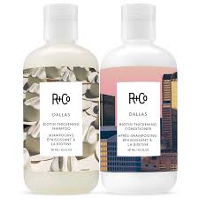 Top 5 R+Co Products for Fine or Thinning Hair That Actually Work - shelley and co
