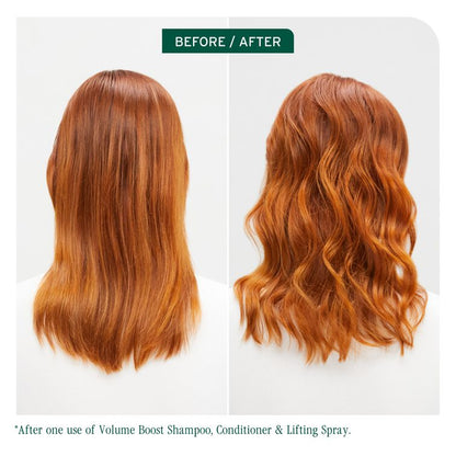 Biolage Volume Boost Root Lift Spray 250ml