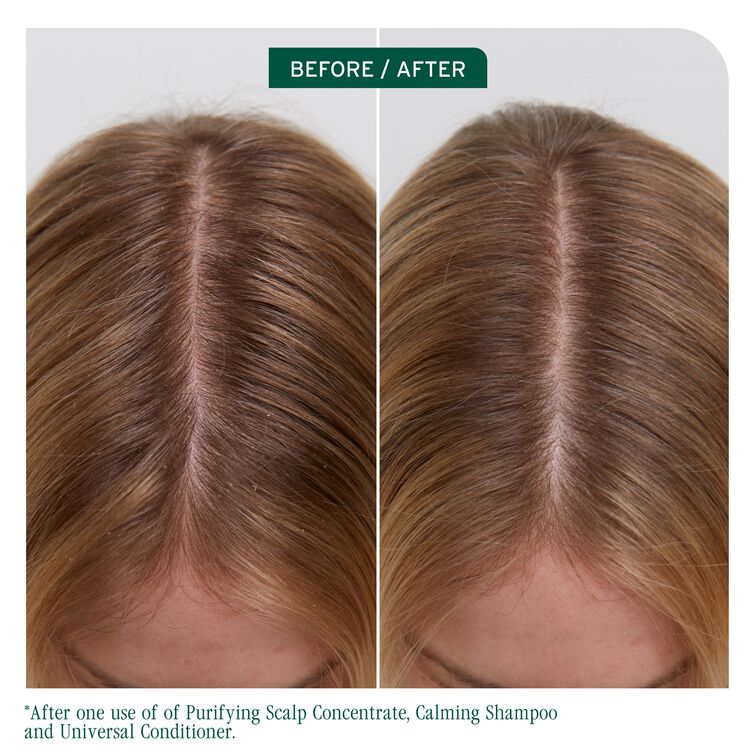 Biolage Scalp Sync Purifying Scalp Concentrate 200ml