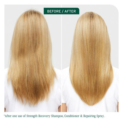 Biolage Strength Recovery Shampoo 400ml