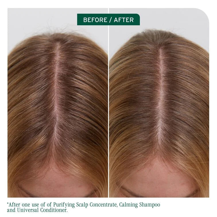 Biolage Scalp Sync Universal Conditioner 236ml