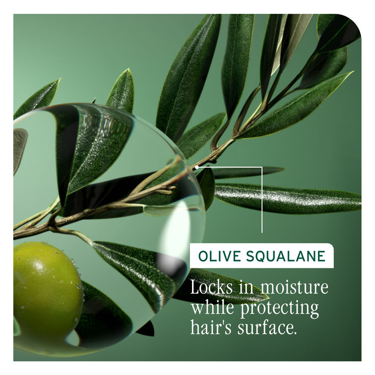 Biolage Strength Recovery Conditioner 236ml