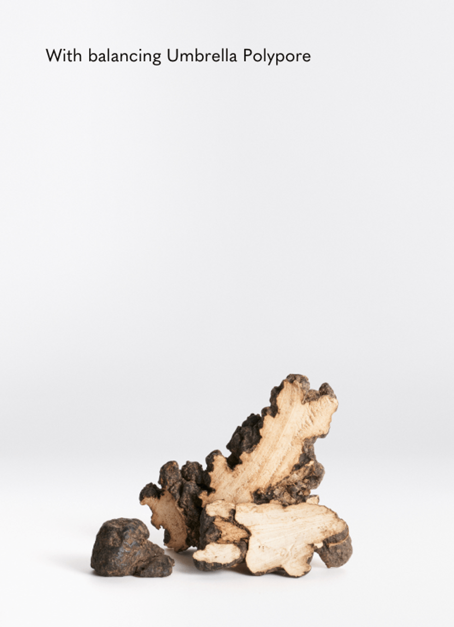 La Biosthetique Méthode Clarifiante Moisture Control Shampoo 250ml - Shelley and Co