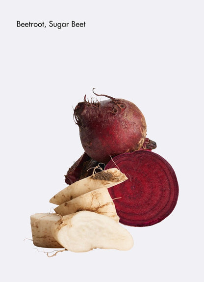 La Biosthetique Méthode Hydratante Restoring Lipokerine B Shampoo 250ml - Shelley and Co