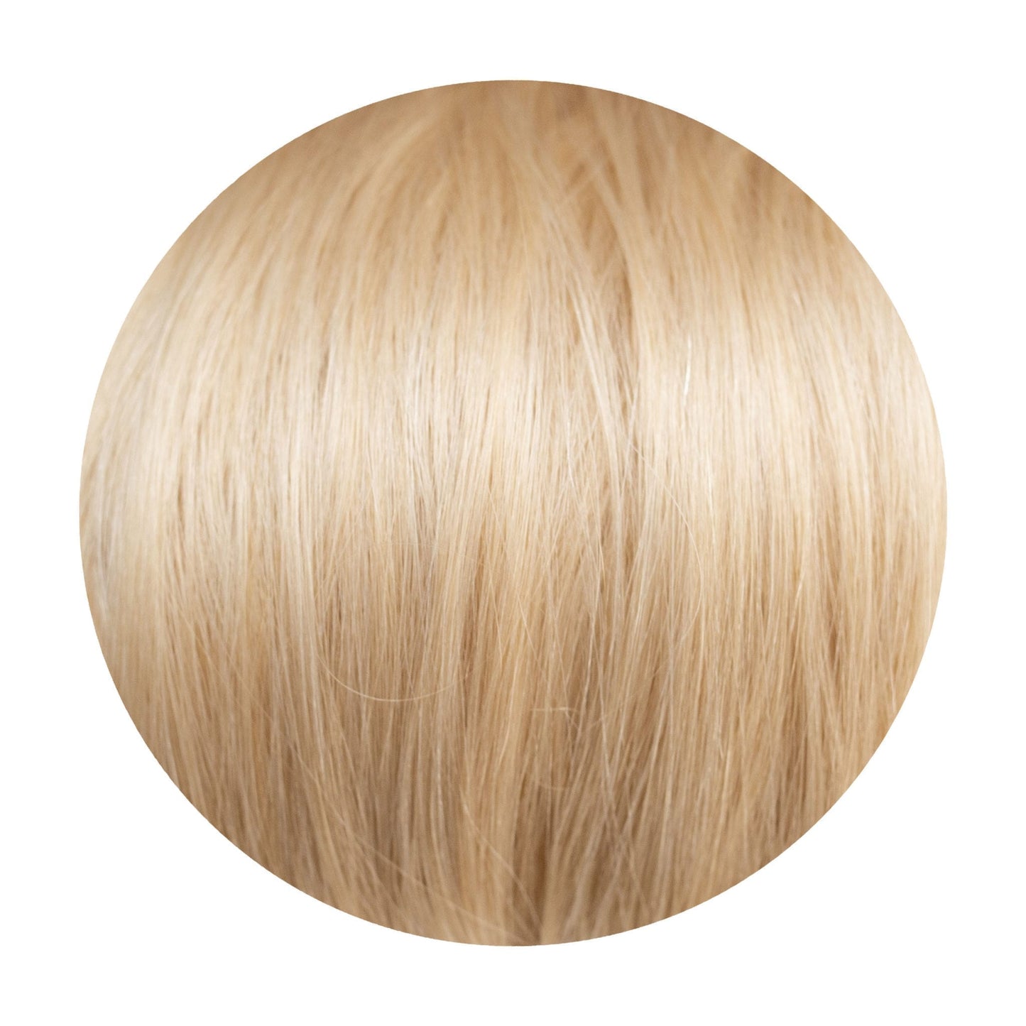 Seamless1 Vanilla Ponytail - shelley and co